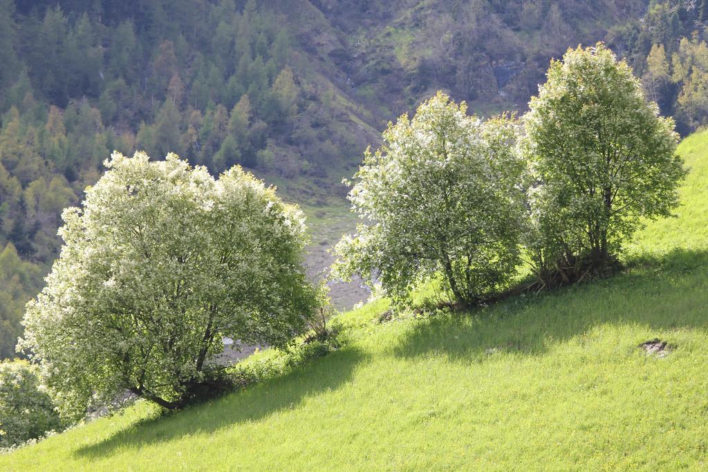 Apart Gletscherblick Kaunertal Eksteriør bilde