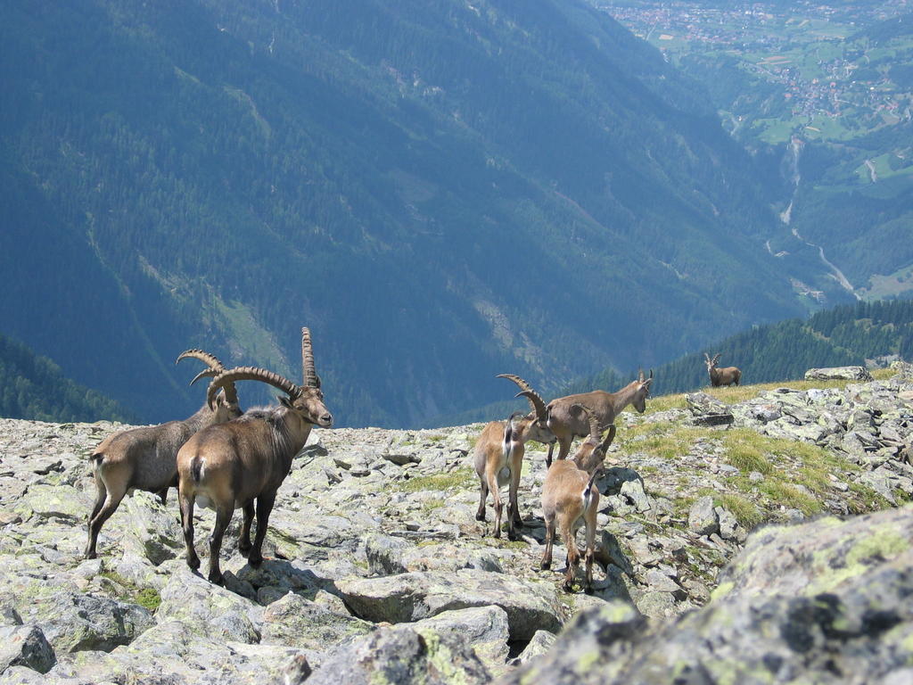 Apart Gletscherblick Kaunertal Eksteriør bilde